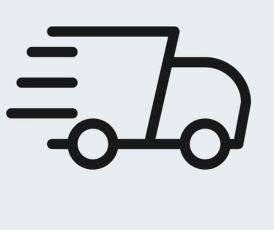logo d'un camion pour la livraison rapide