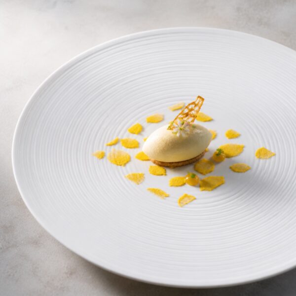 Lemon base plate