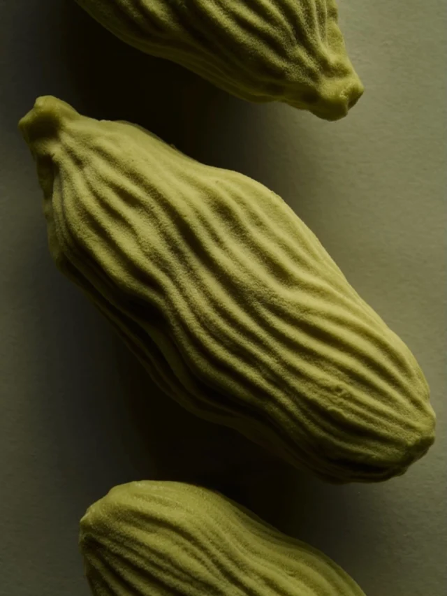 La cardamome. Une épice iconique, reproduite à l’identique en moule silicone ali…