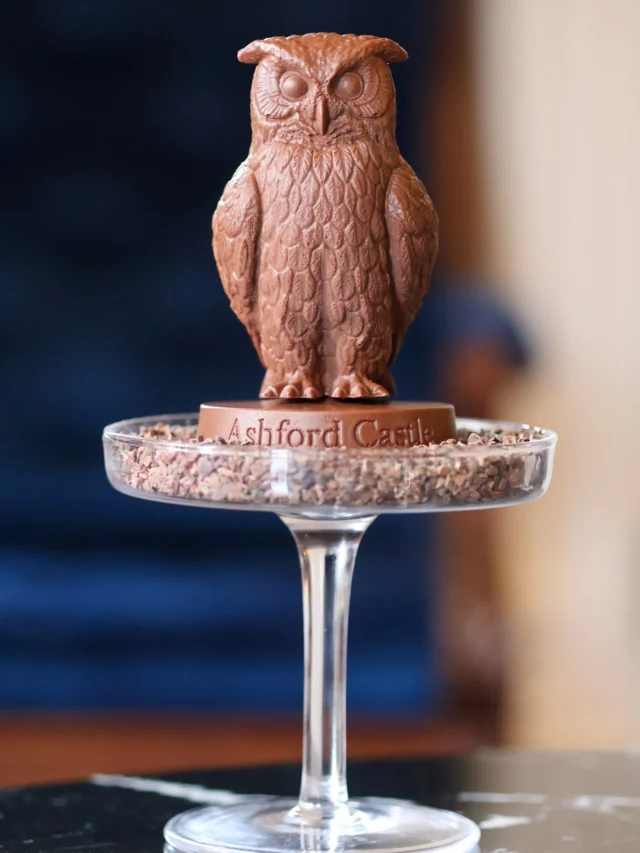 Le hibou de l’Ashford Castle est désormais en chocolat 🦉🍫 Mascotte de l’hôtel, i…