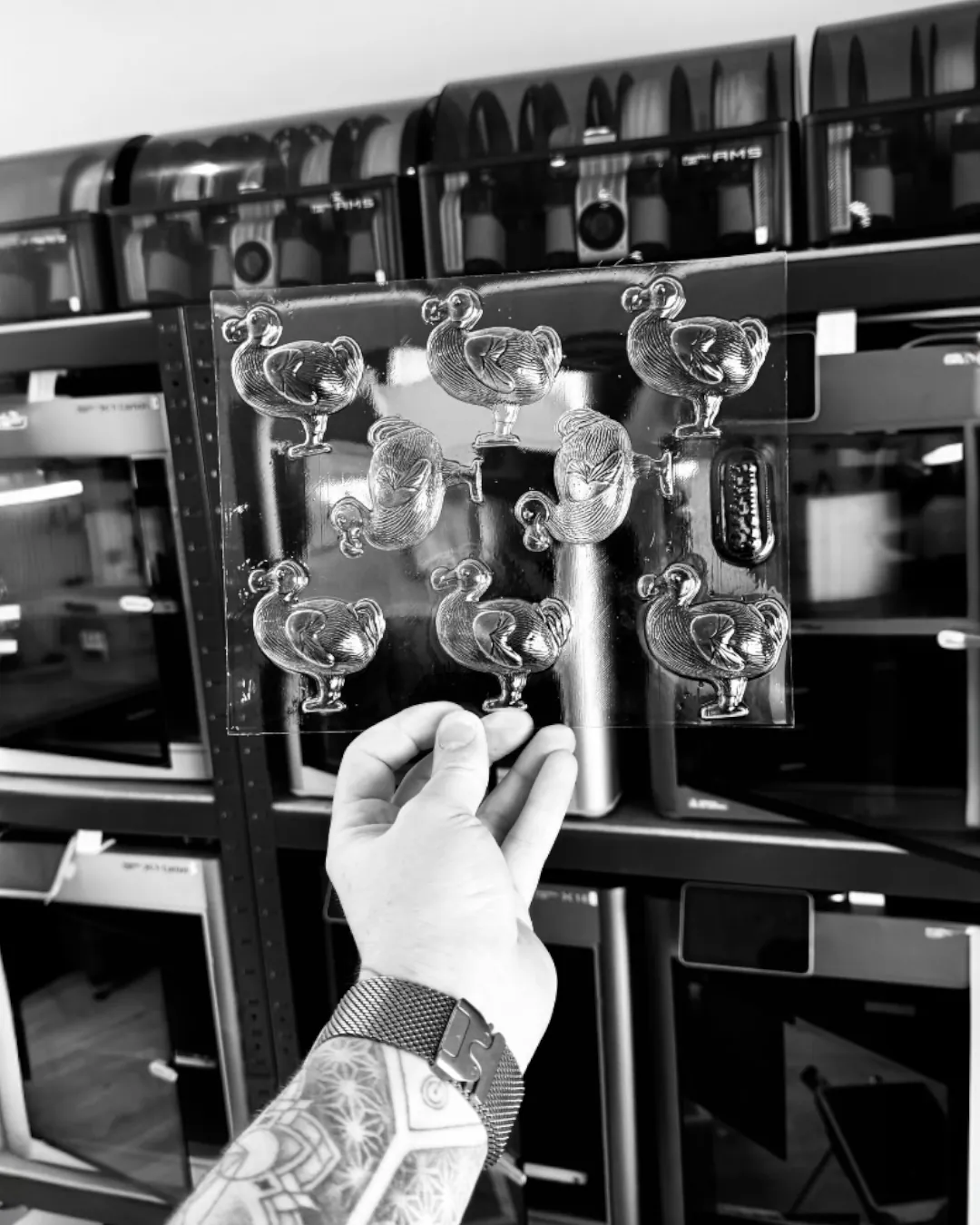 Photo 1 — thermoformage